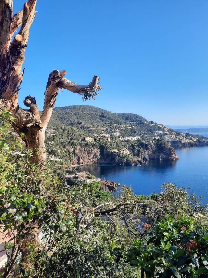 Magic Mer Saint-Raphael  Bagian luar foto