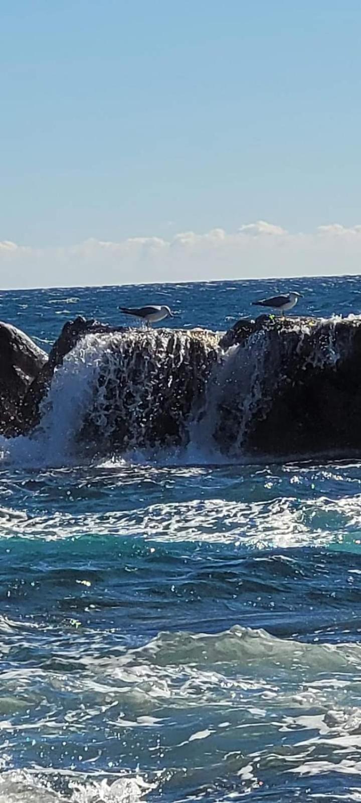 Magic Mer Saint-Raphael  Bagian luar foto